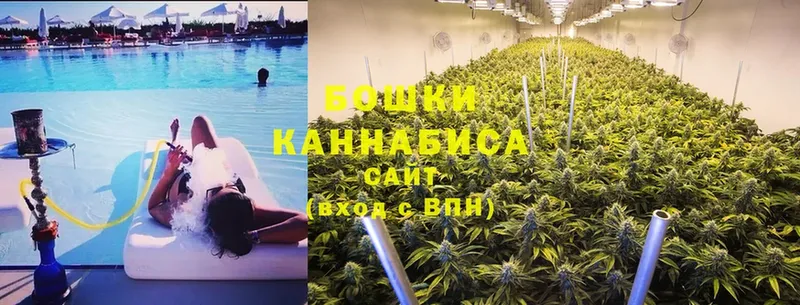 как найти закладки  Осташков  Марихуана OG Kush 